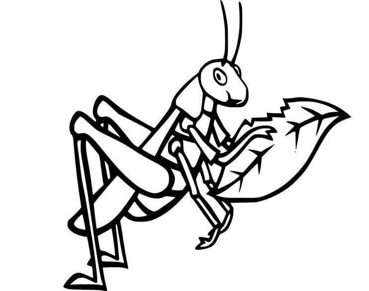 Zeichne Grashüpfer druckbare für Kinder