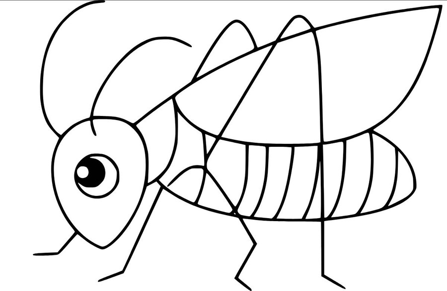 Zeichne Grashüpfer für Kinder