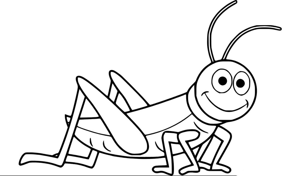 Zeichne Grashüpfer kostenlos druckbare einfach