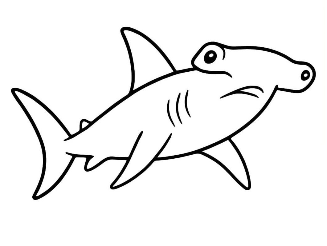 Zeichne Hammerhai kostenlos für Kinder