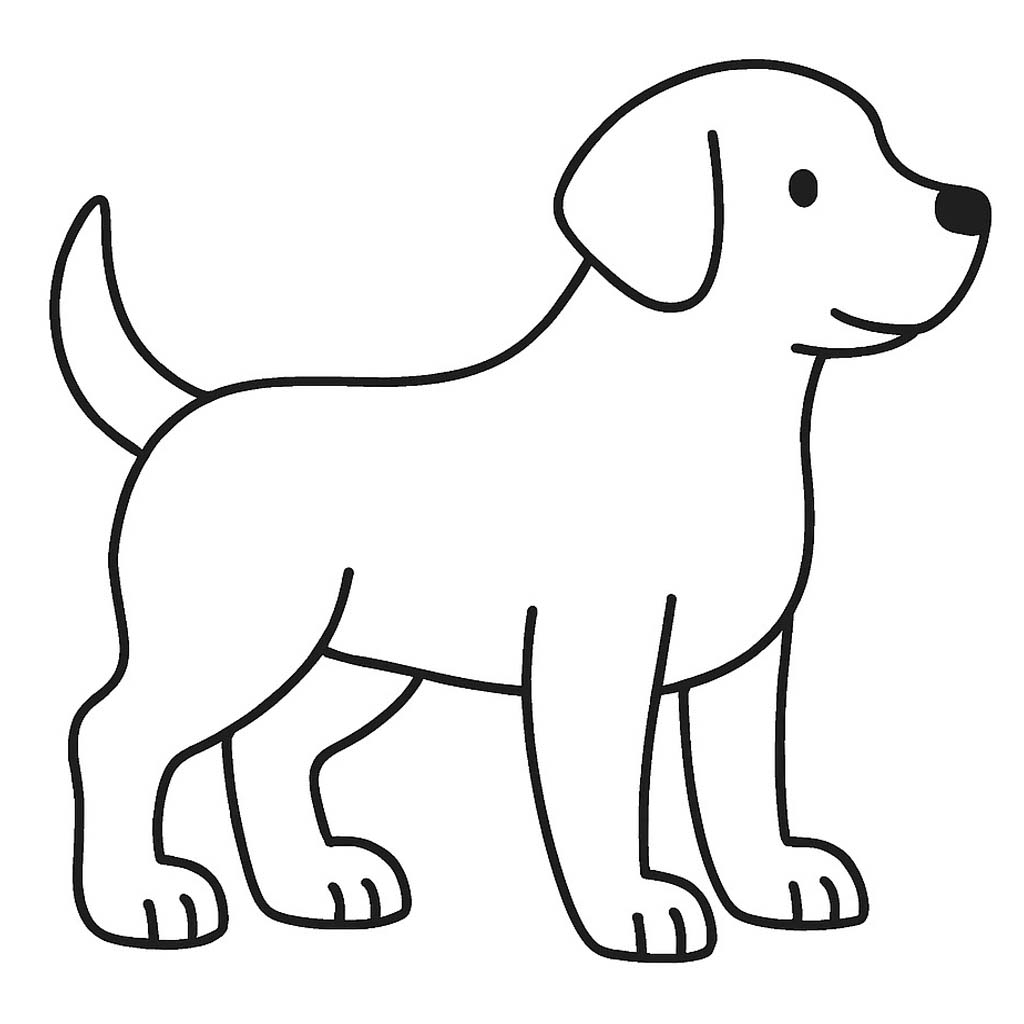 Zeichne Labrador 6