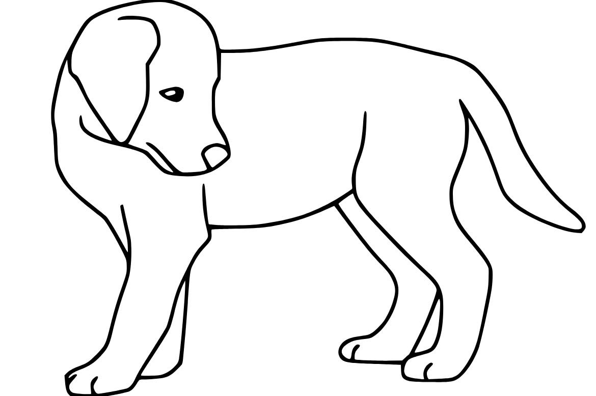 Zeichne Labrador basisch