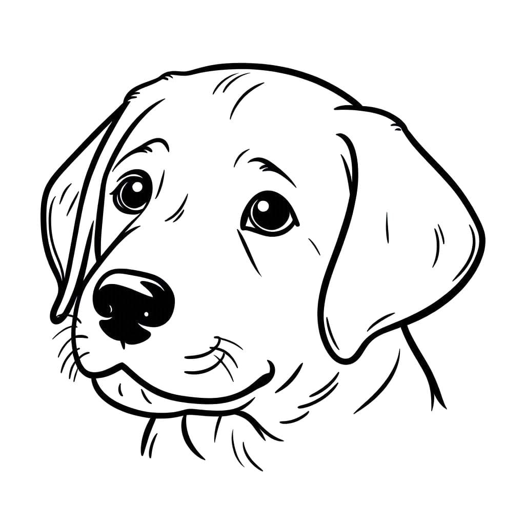 Zeichne Labrador druckbare