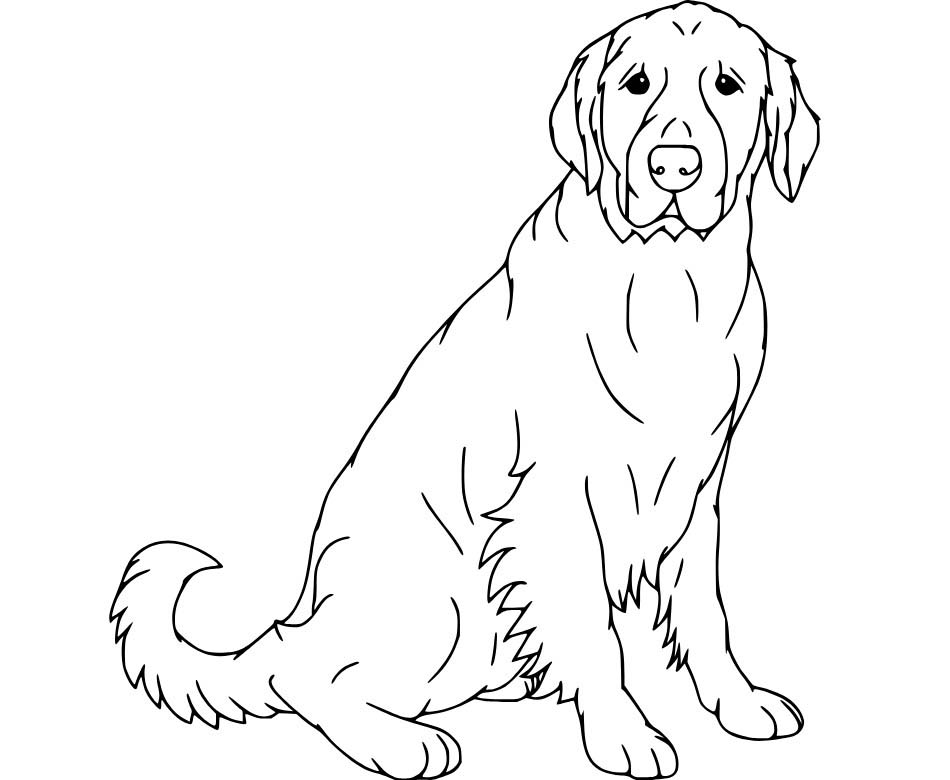 Zeichne Labrador druckbare einfach