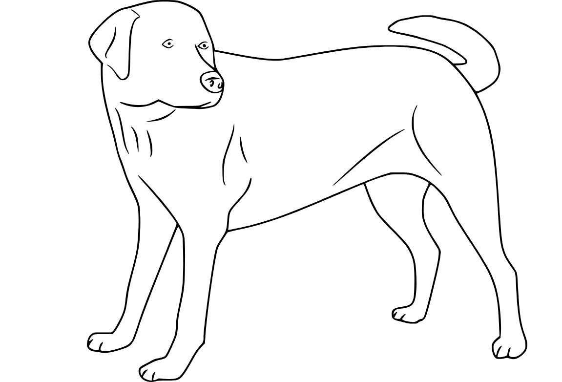 Zeichne Labrador druckbare schlicht