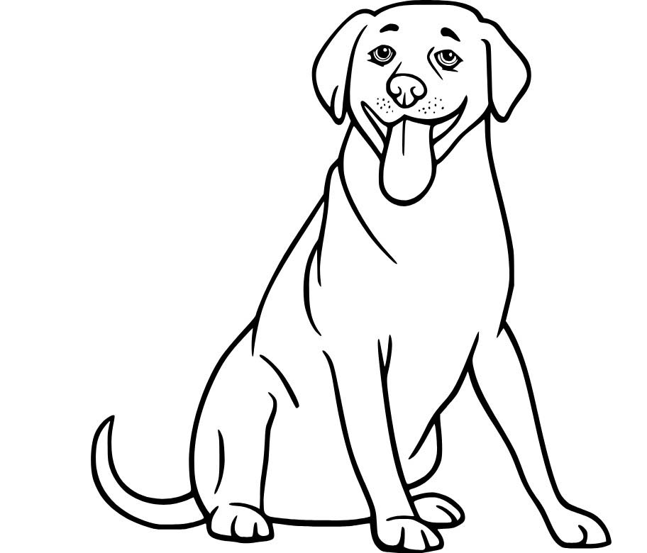 Zeichne Labrador Hund