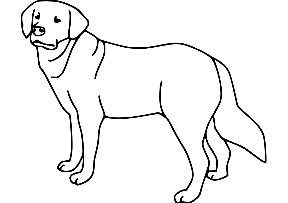 Zeichne Labrador kostenlos druckbare einfach