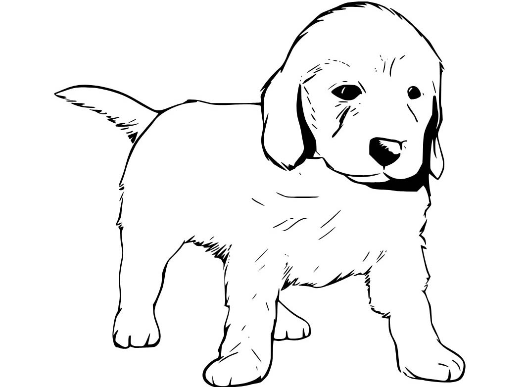 Zeichne Labrador kostenlos druckbare schlicht