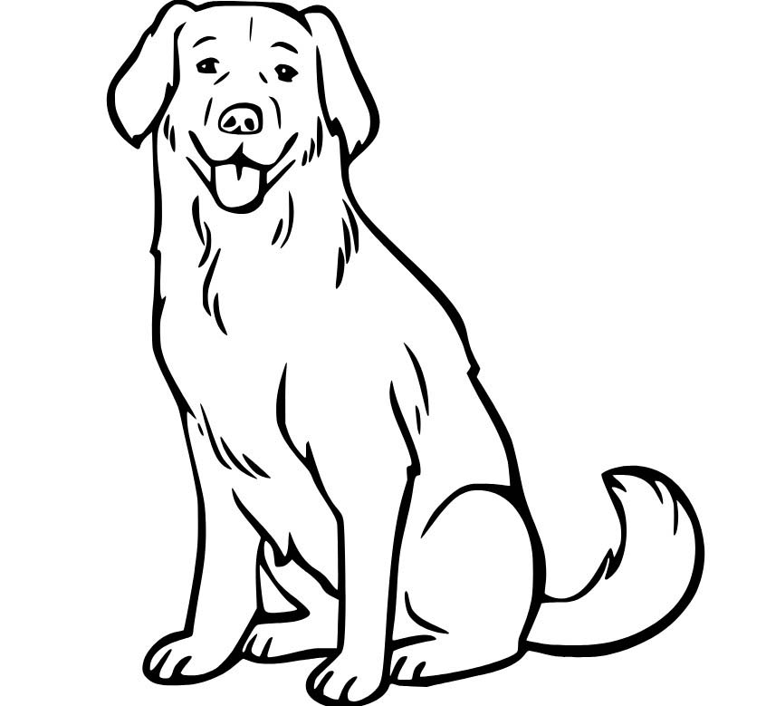 Zeichne Labrador kostenlos einfach