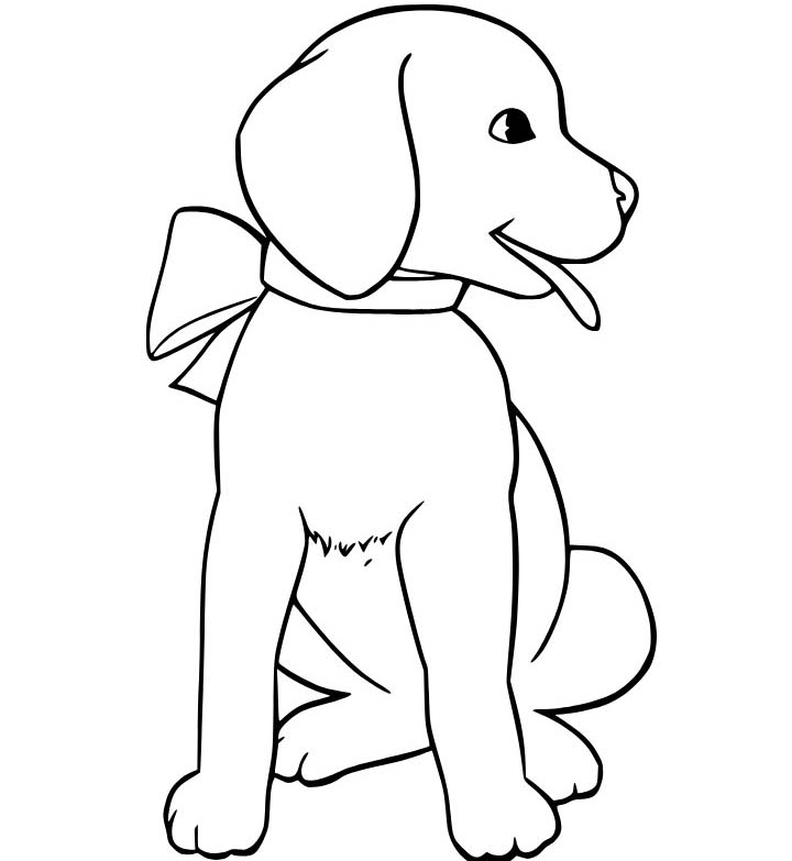 Zeichne Labrador kostenlos schlicht