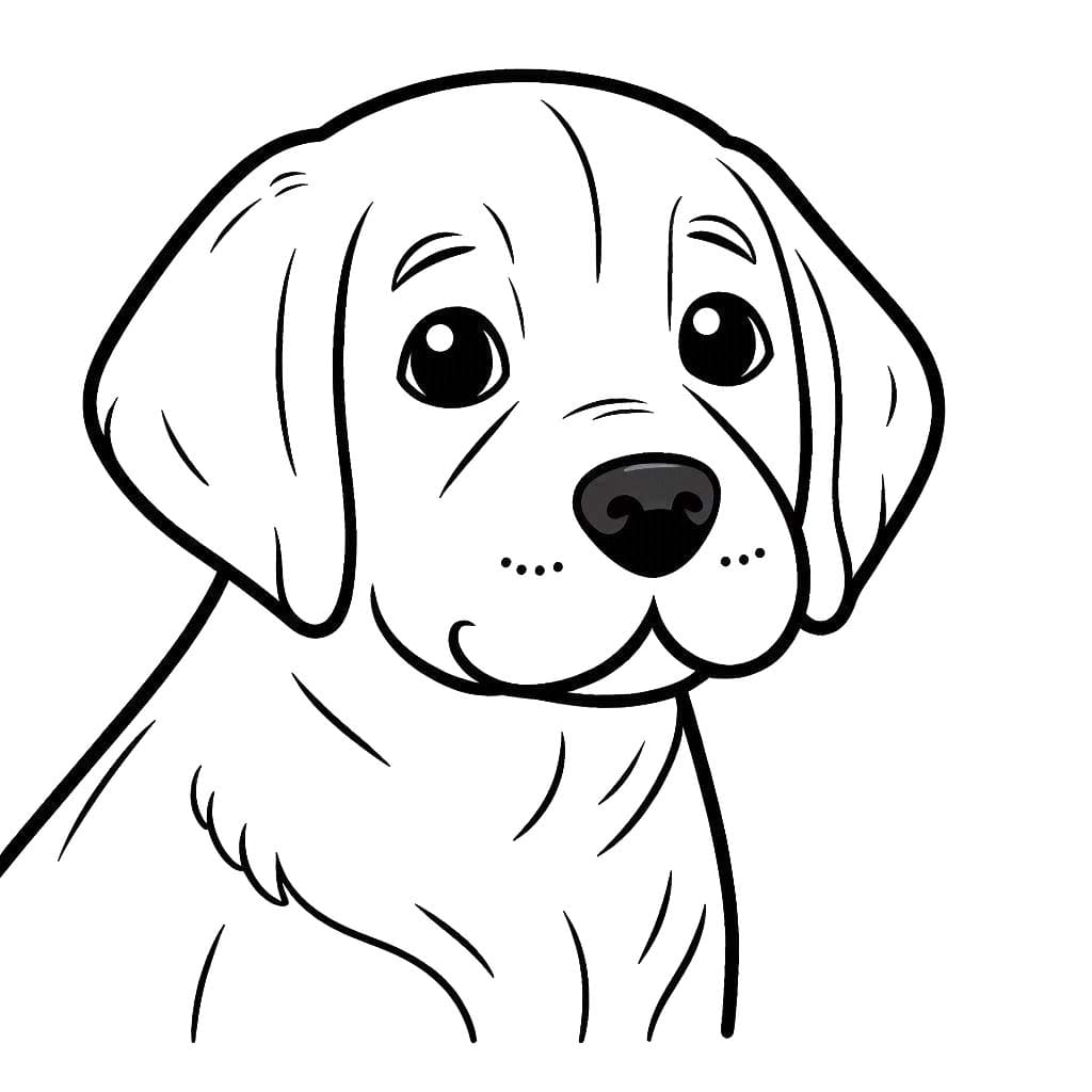 Labrador ausmalbilder