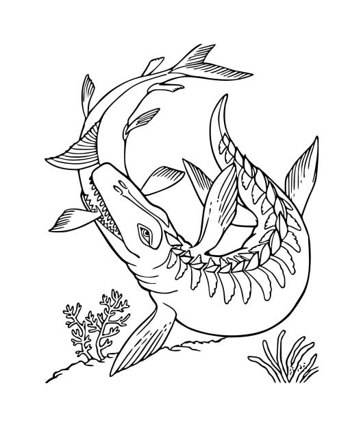 Zeichne Mosasaurus kostenlos druckbare basisch