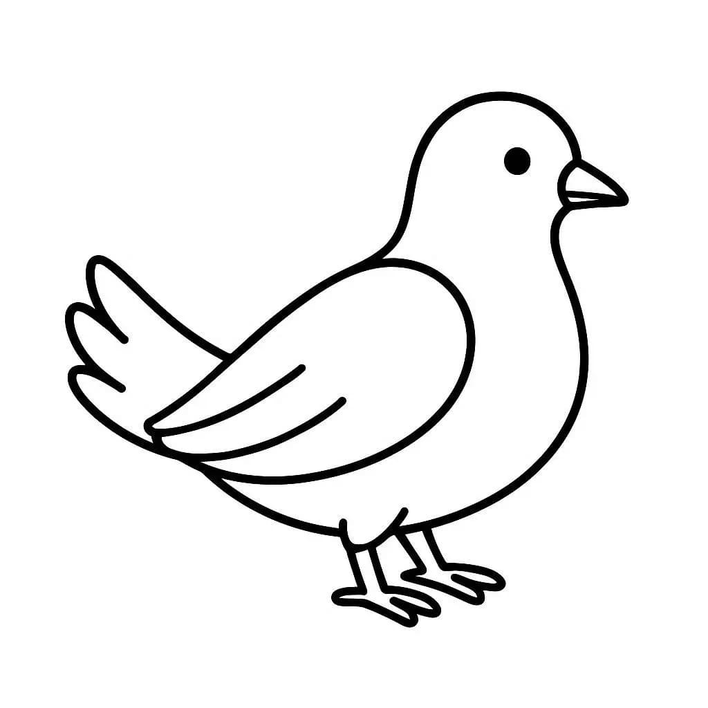 Friedenstaube druckbare für Kinder