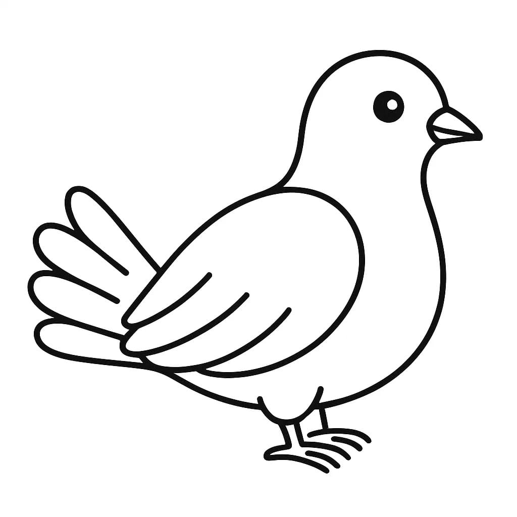 Friedenstaube für Kinder