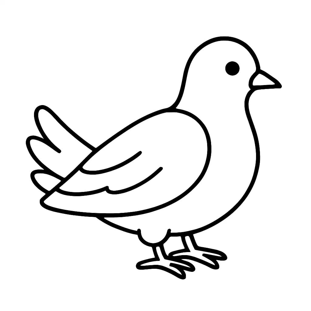 Friedenstaube kostenlos