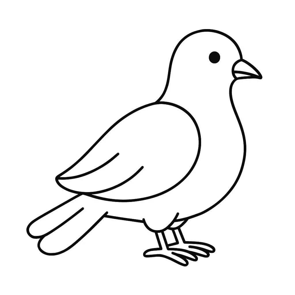 Friedenstaube zum Ausdrucken für Kinder