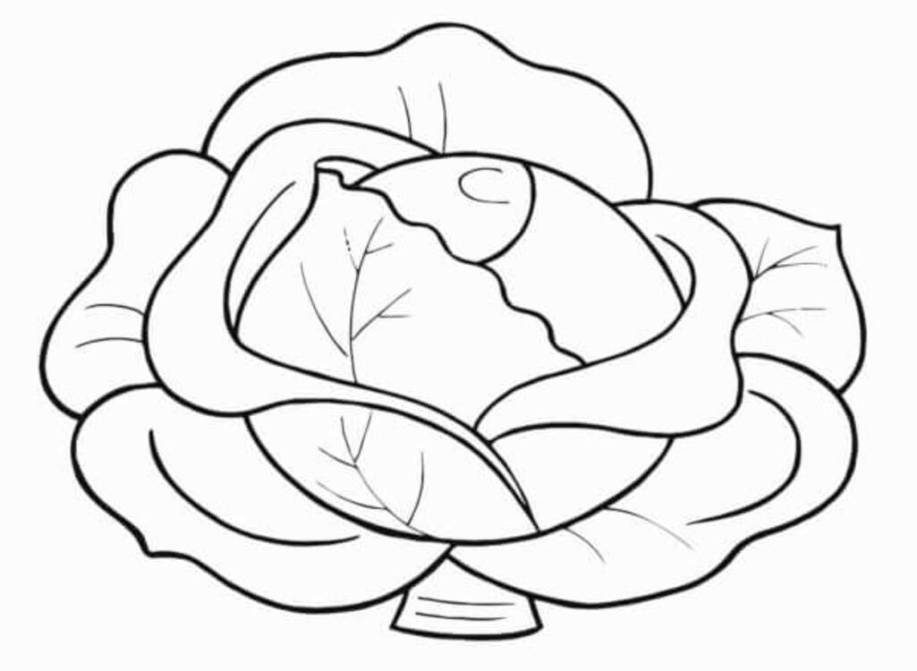 Gemüse druckbare schlicht