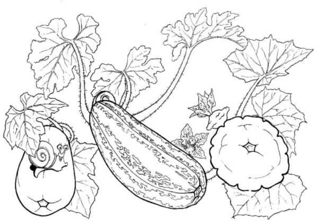 Gemüse kostenlos druckbare basisch