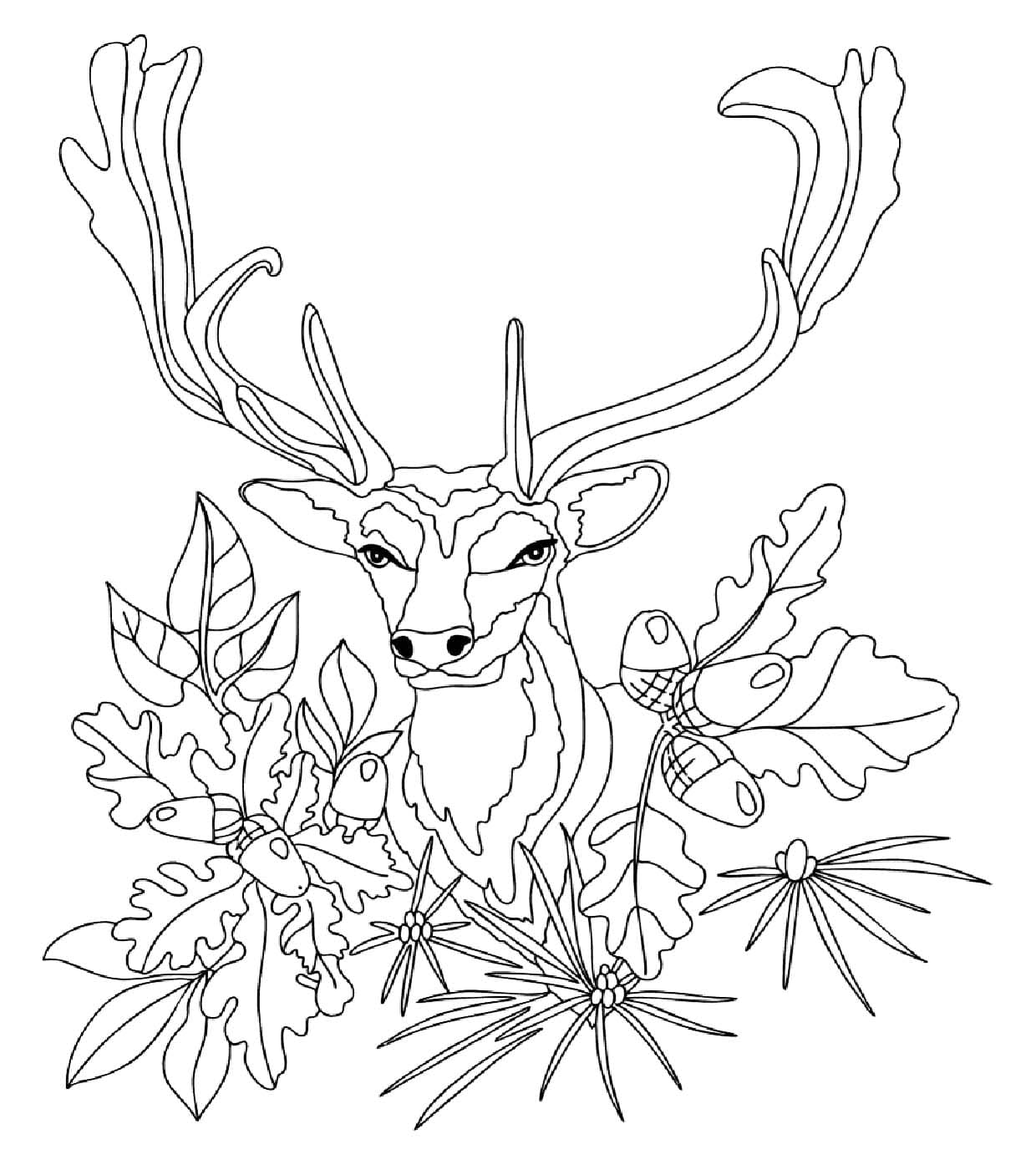 Hirschkopf kostenlos basisch