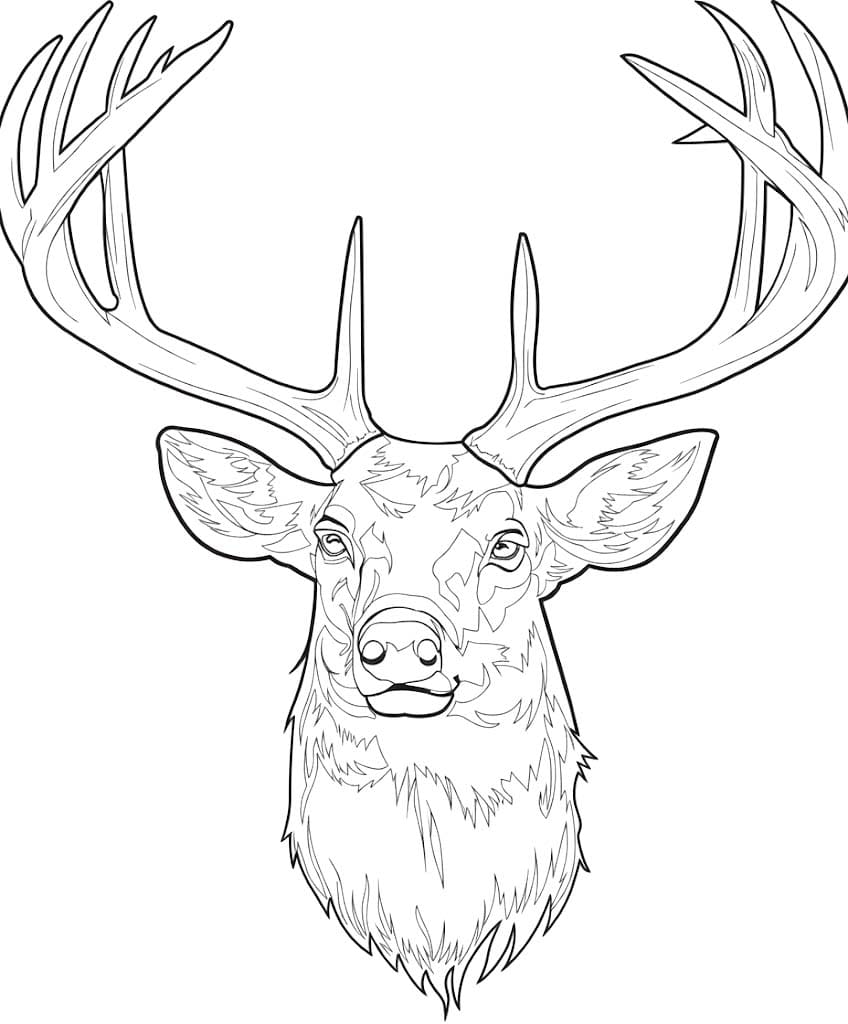 Hirschkopf zum Ausdrucken