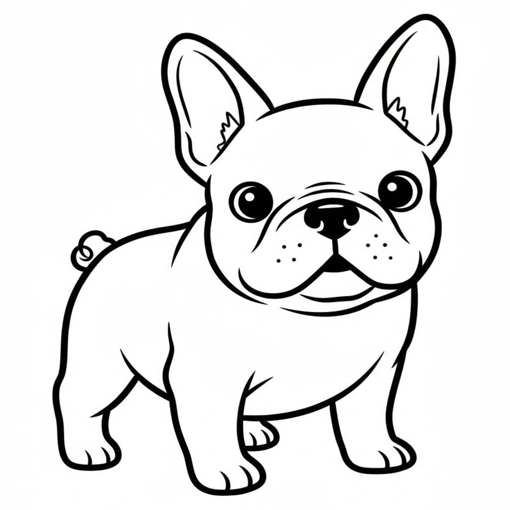 Kostenlos Französische Bulldogge