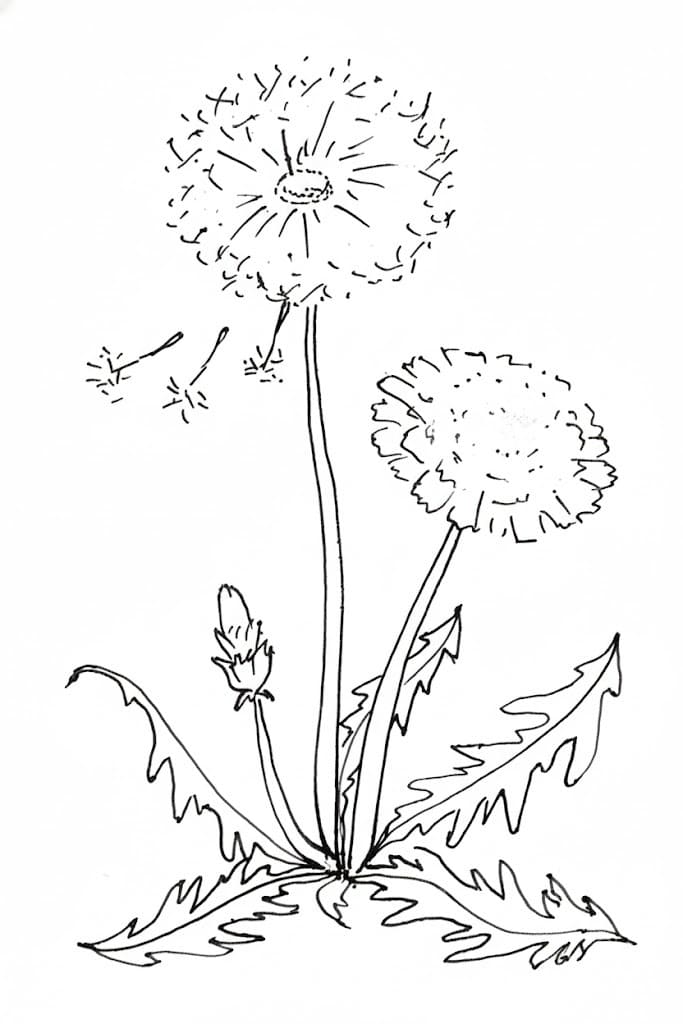 Pusteblume kostenlos druckbare basisch