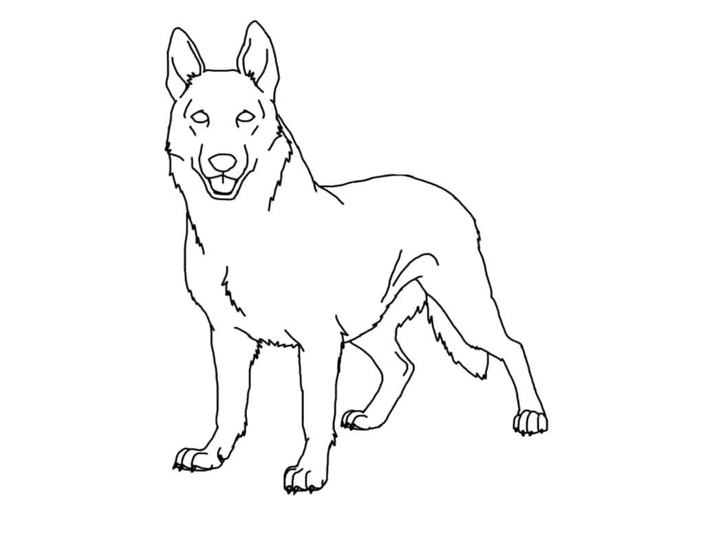 Zeichne Deutscher Schäferhund kostenlos schlicht