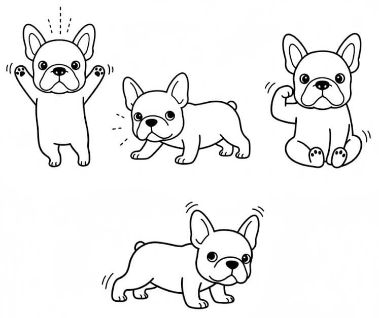 Zeichne Französische Bulldogge kostenlos druckbare