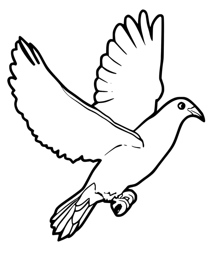 Zeichne Friedenstaube druckbare einfach