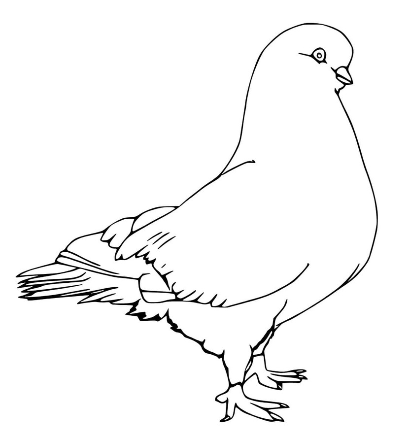 Zeichne Friedenstaube zum Ausdrucken