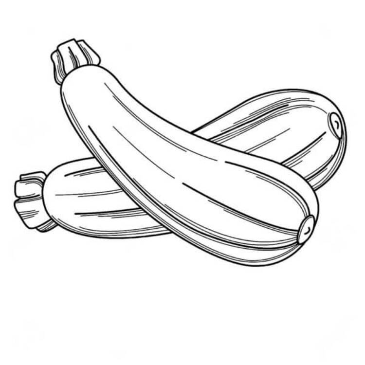 Zeichne Gemüse kostenlos für Kinder