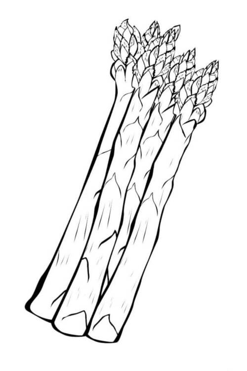 Zeichne Gemüse kostenlos schlicht