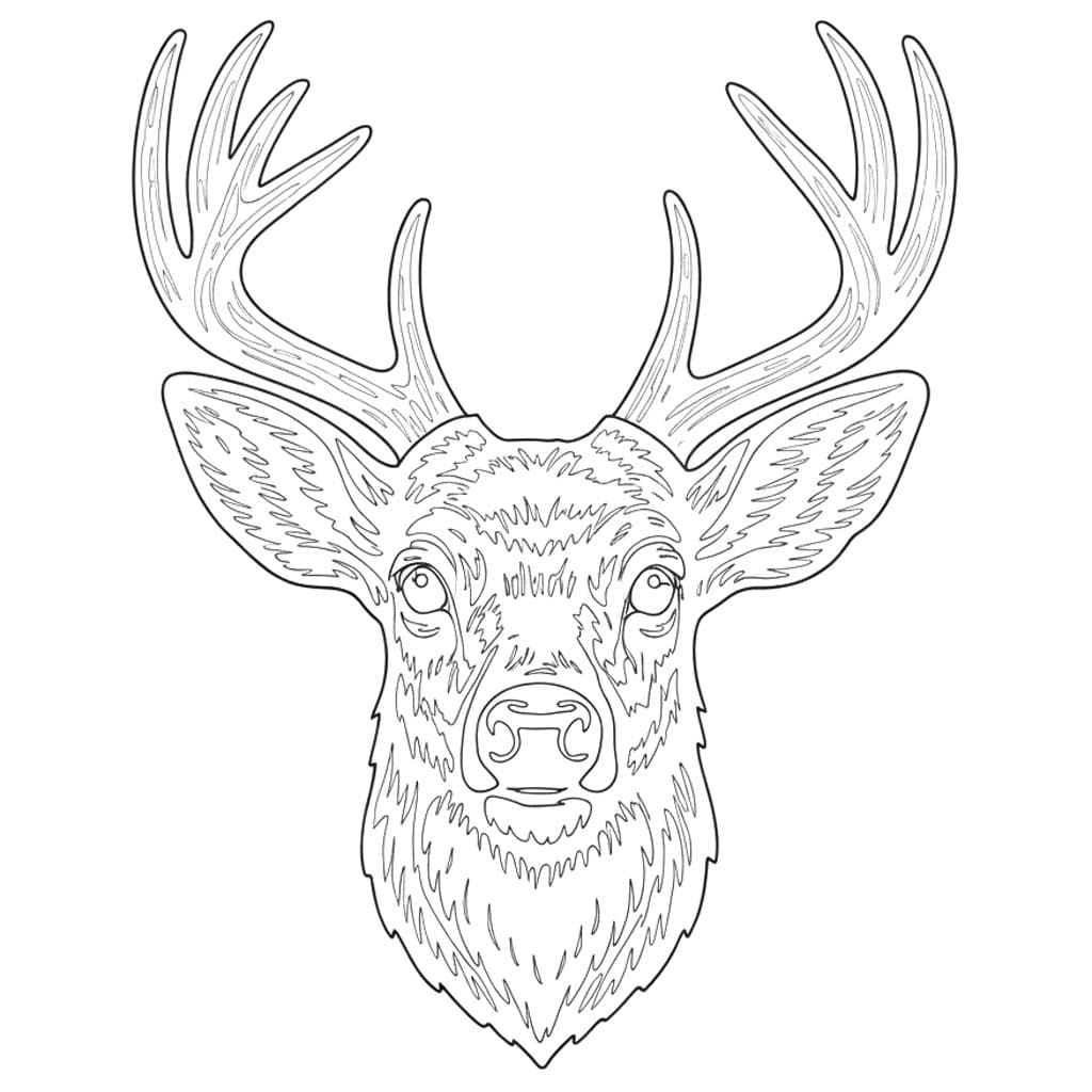 Zeichne Hirschkopf druckbare