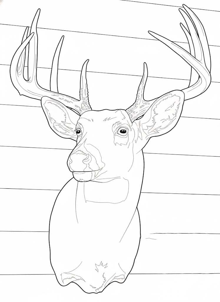 Zeichne Hirschkopf zum Ausdrucken