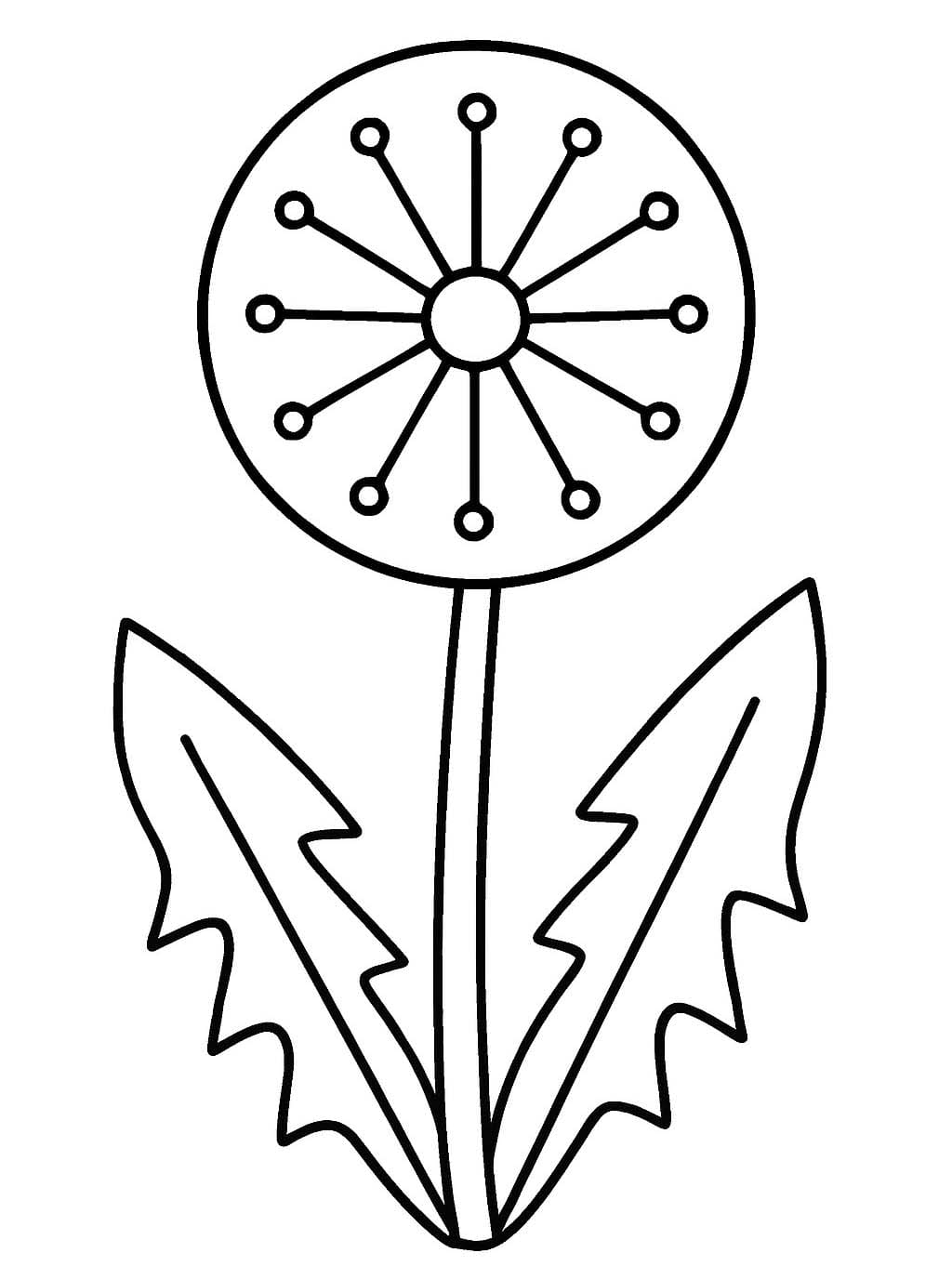 Zeichne Pusteblume druckbare einfach