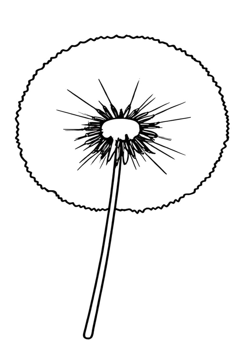 Zeichne Pusteblume kostenlos druckbare schlicht