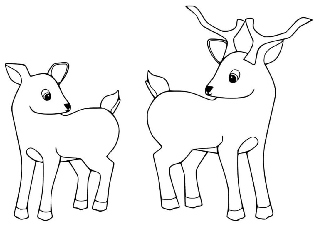 Zeichne Rehkitz kostenlos einfach