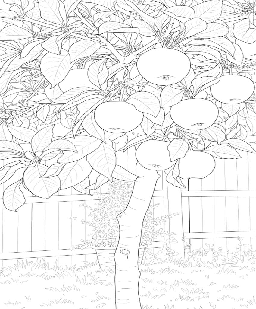 Apfelbaum kostenlos basisch