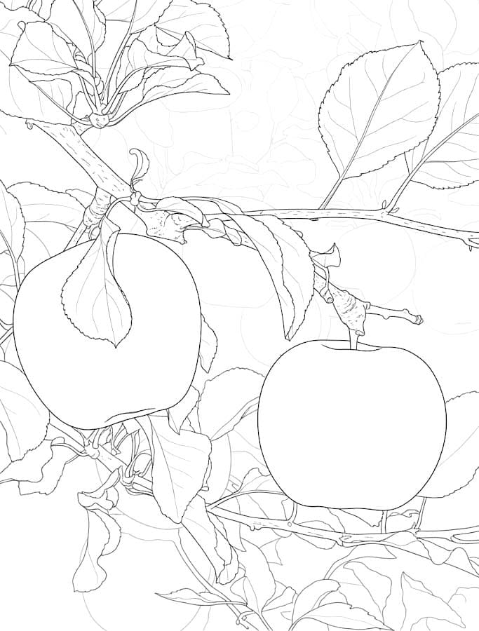 Apfelbaum kostenlos druckbare schlicht