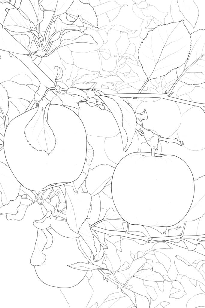 Apfelbaum zum Ausdrucken