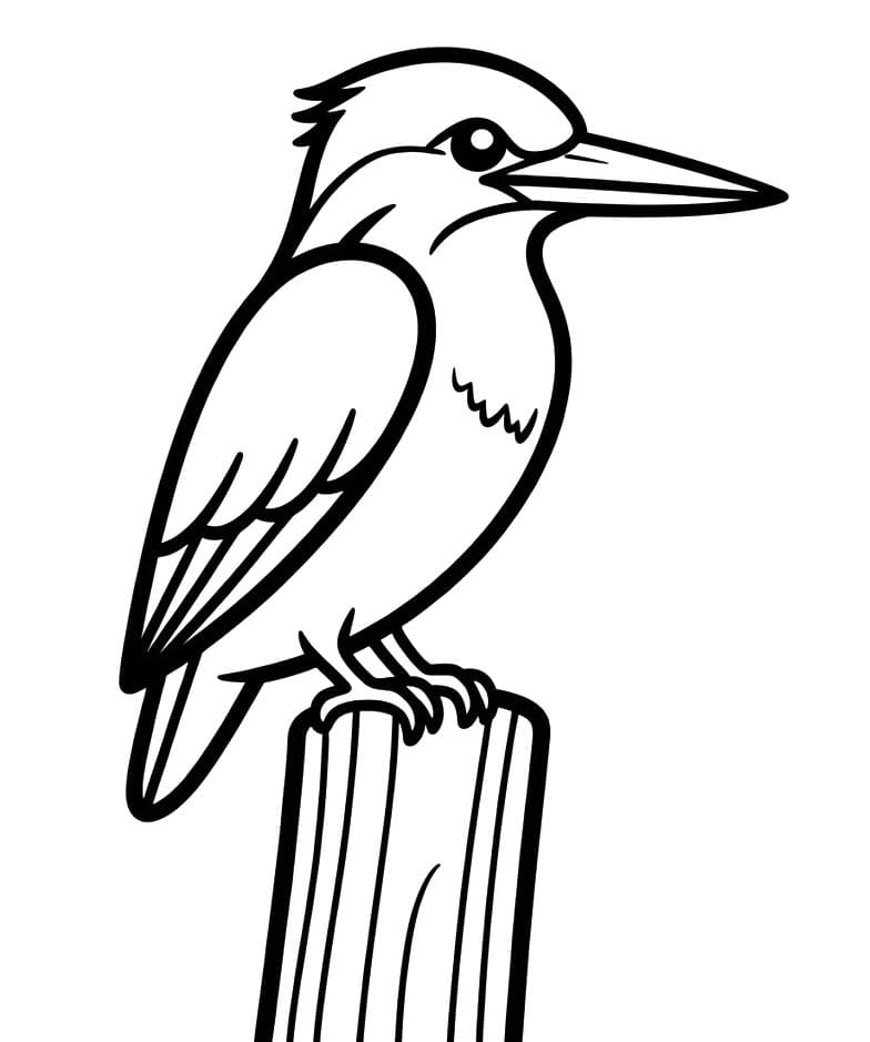 Eisvogel druckbare schlicht