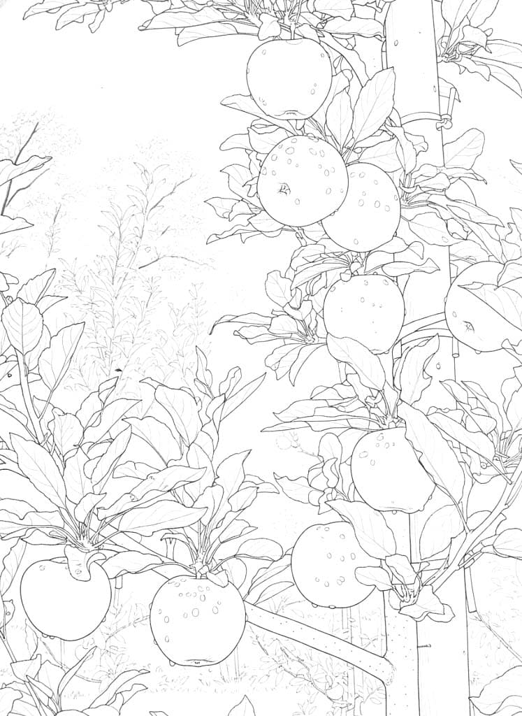 Kostenlos druckbare Apfelbaum