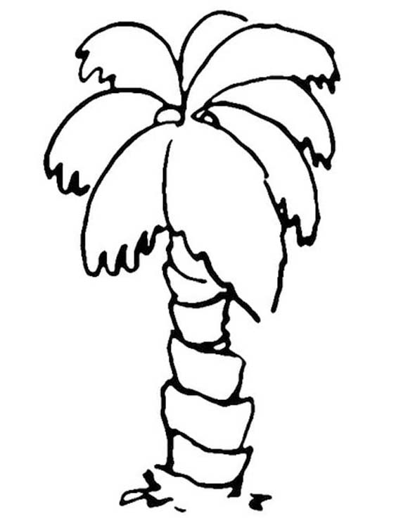 Palme druckbare für Kinder