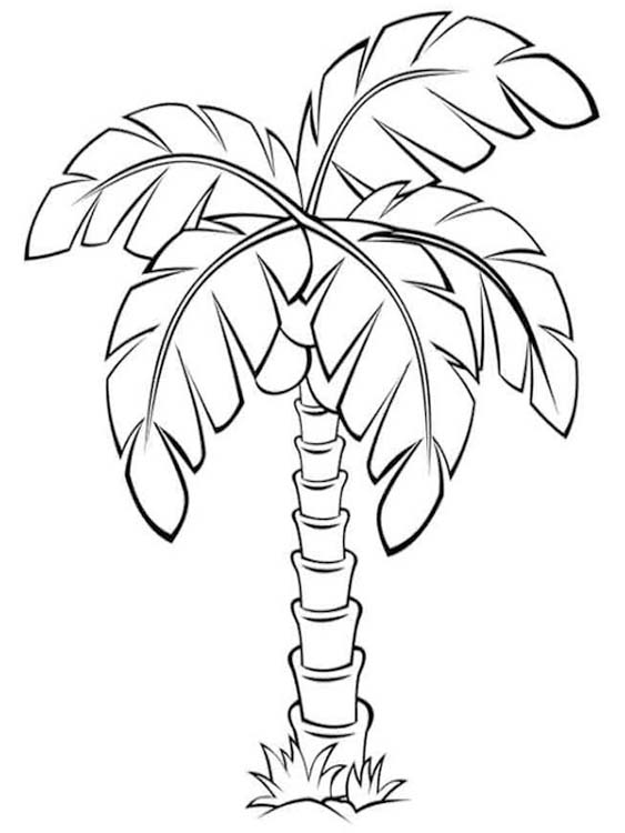 Palme kostenlos druckbare