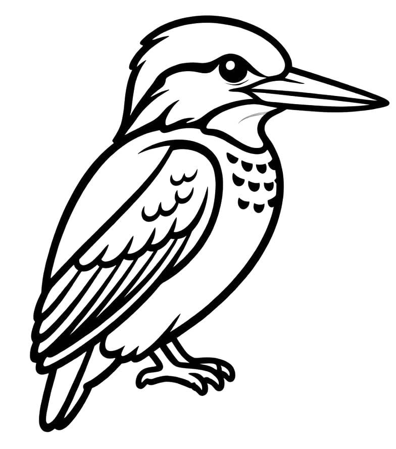 Zeichne Eisvogel einfach