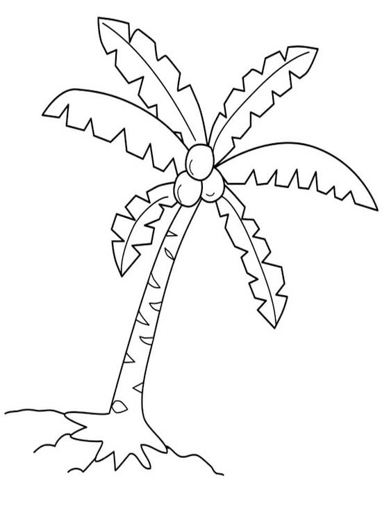 Zeichne Palme für Kinder