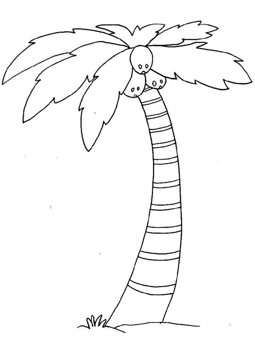 Zeichne Palme kostenlos einfach