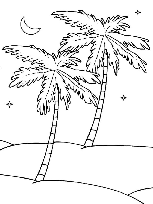 Zeichne Palme zum Ausdrucken