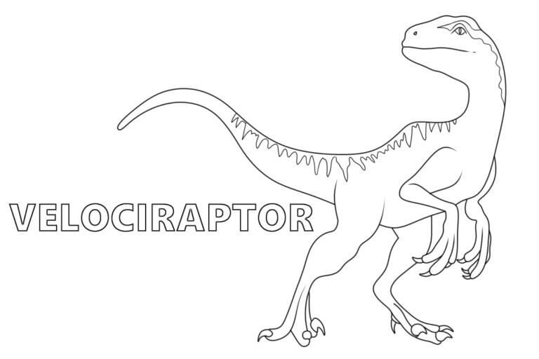 Zeichne Velociraptor druckbare