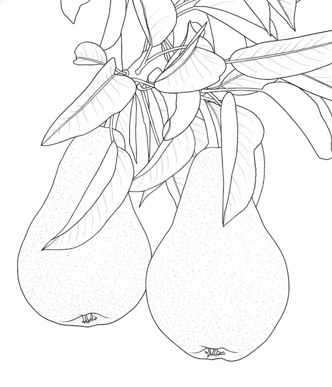 Birnen kostenlos druckbare für Kinder coloring page